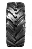 Шина IF710/70R42 BKT AGRIMAX FORCE 179D TL