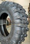 Шина пневмо 16.9-28 14PR Apollo Terra BHL TL
