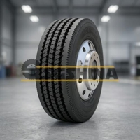 255/70R22.5 Double Coin RT500 16PR 140/137N TL Пневматическая Шина