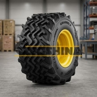 500/45R22.5 Tianli Grass King Flotation I-3 146D TL Пневматическая Шина