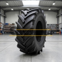 600/70R28 Starmaxx TR-130 161D TL Пневматическая Шина