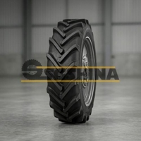 9.5-42 Алтайшина 183 6PR 116A6 Шина